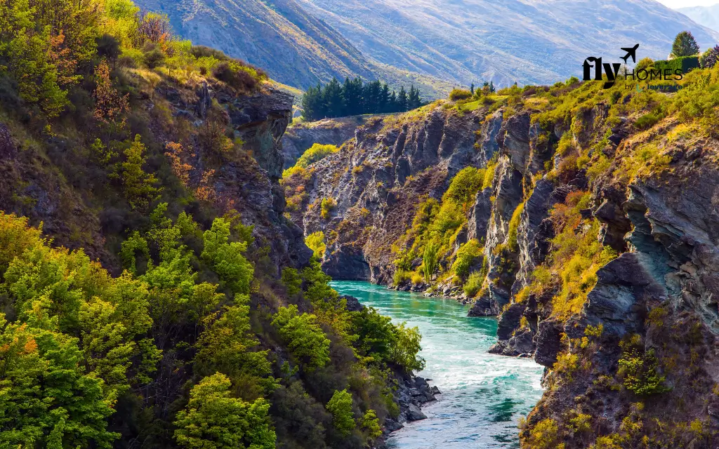 Outdoor Adventures in New Zealand