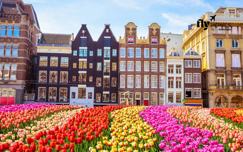 Interesting-Facts-About-Amsterdam