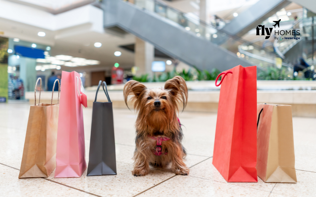 Shopping Malls in Boston