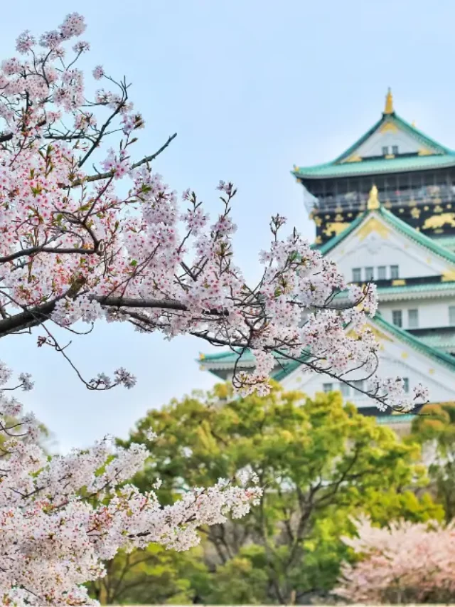 Cheapest Cities to Live in Japan