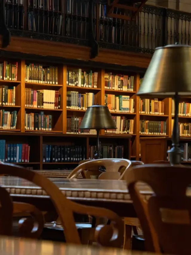 Explore the Best Libraries in Belfast for Students