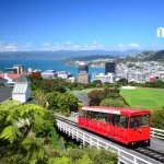 Cost of Living in Wellington