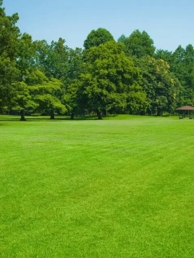 Parks in Galway