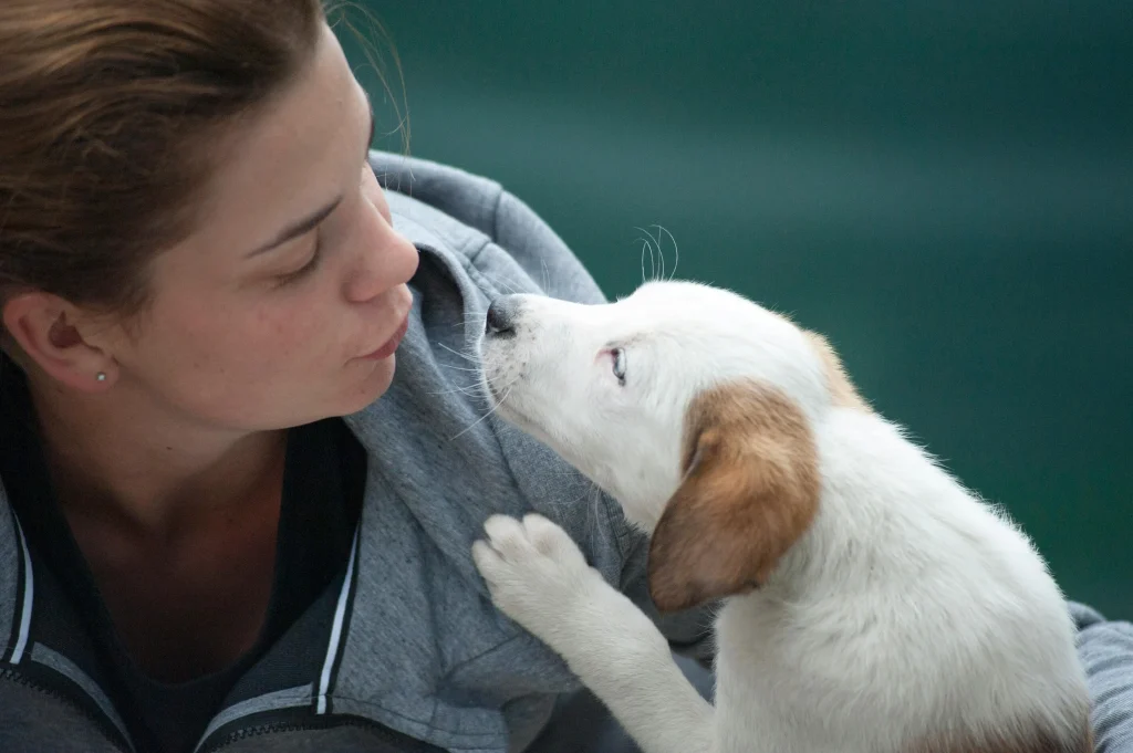 Benefits of Pet-Friendly Student Housing