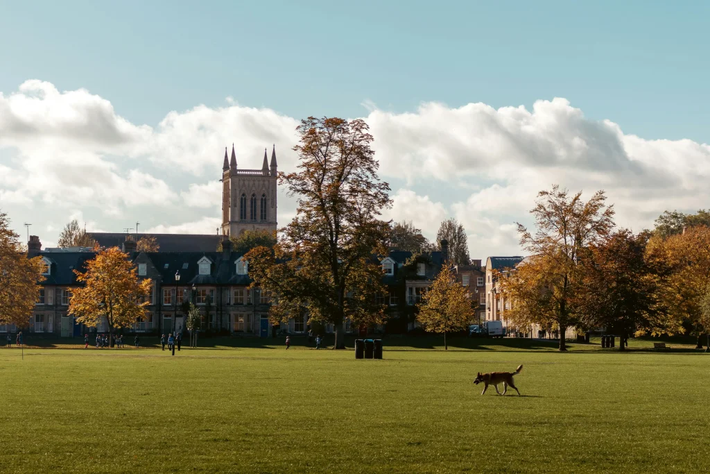 How to Get into Cambridge University for Masters (Postgraduate Admissions)