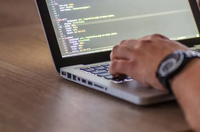 Software Development Manager