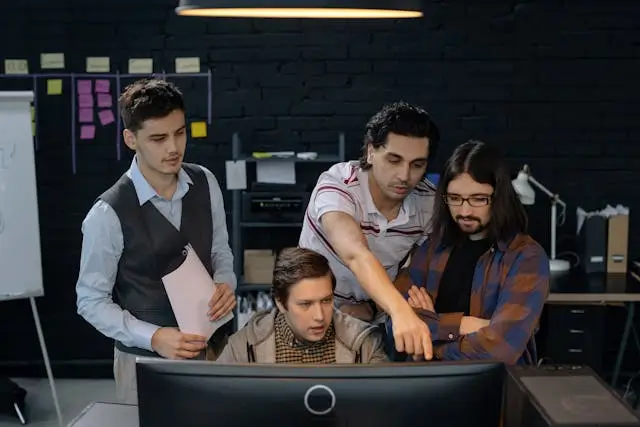IT project manager