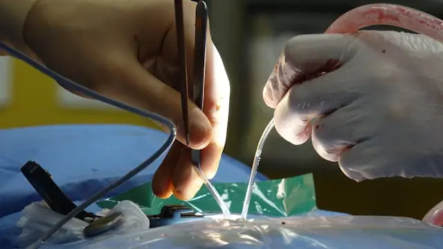 Neurosurgeon