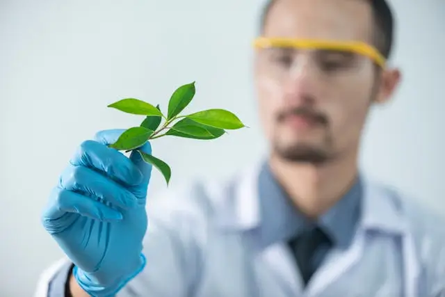environmental scientist
