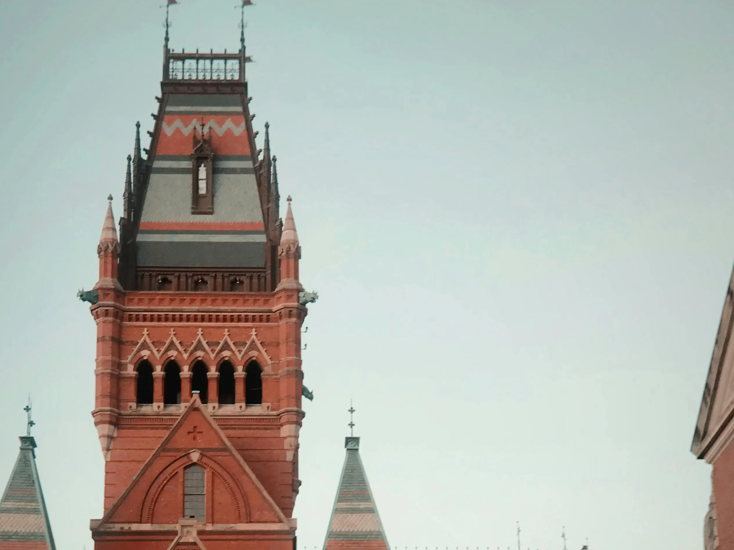 harvard university